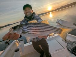 Striped bass fishing in GA