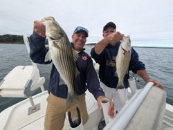 Striped bass fishing in Gainesville