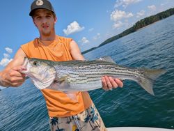 Striped bass caught while fishing in Gainesville
