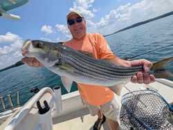 Striped bass fishing in Gainesville