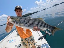 Striped bass caught while fishing in Gainesville