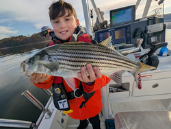 Nice striped bass using light tackle jigging and trolling techniques!