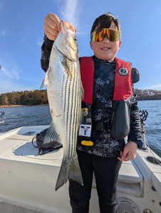Nice striped bass using jigging and trolling techniques on light tackle today!