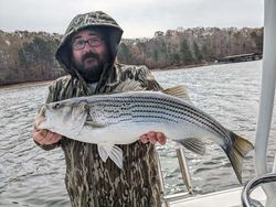 Striped bass fishing in GA