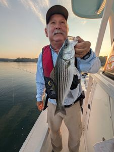 Striped bass caught while fishing in GA