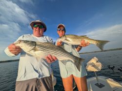 Two striped bass caught while fishing in GA