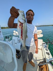 A striped bass caught while fishing in GA