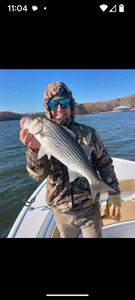 Striped bass caught in Gainesville