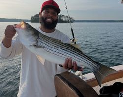 Striped Bass caught by one person in Gainesville
