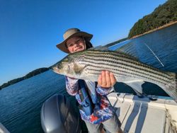 Striped bass caught in Gainesville