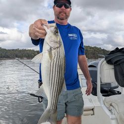 Striped bass caught by angler in Gainesville