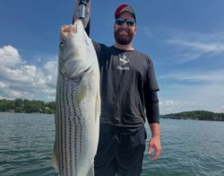 Striped bass caught in Gainesville