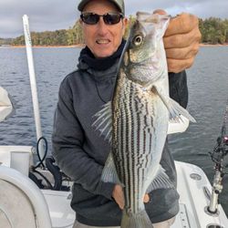 Striped bass caught by angler in Gainesville