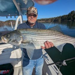Striped bass caught in Gainesville