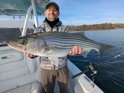 Striped Bass caught in Gainesville