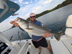 Striped Bass caught in Gainesville