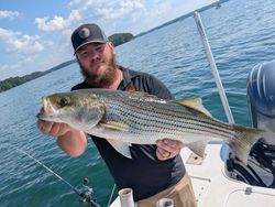 Striped bass caught while fishing in Gainesville