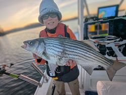 A striped bass caught while fishing in Gainesville