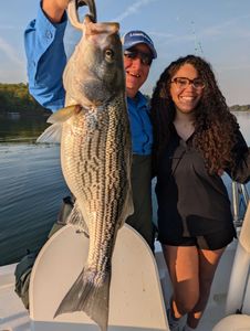 A striped bass fish caught in Gainesville, Florida