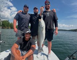 Striped bass caught in Gainesville