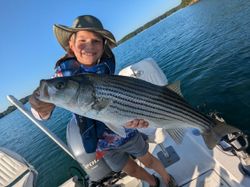 Striped bass caught fishing in Gainesville