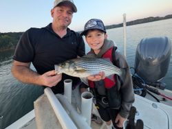 Striped bass caught while fishing in Gainesville