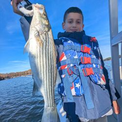 Striped bass caught while fishing in Gainesville