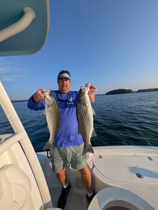 Two striped bass caught while fishing in Gainesville