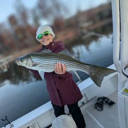 Striped bass caught while fishing in Gainesville
