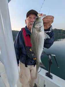 Striped bass caught while fishing in Gainesville