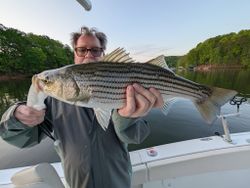 Striped bass caught while fishing in Gainesville