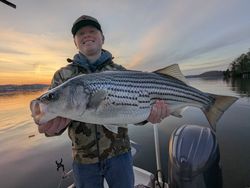 Striped bass caught fishing in Gainesville