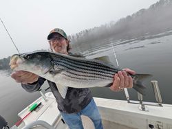 Angler holding large striped bass on fishing boat in Gainesville GA