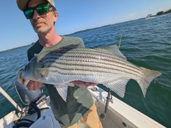 Striped bass caught by angler in GA