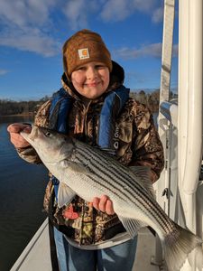Striped bass caught by angler in GA