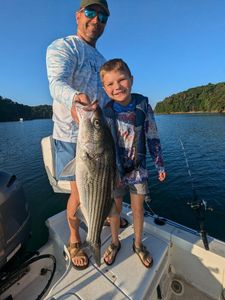 Striped Bass caught in GA during fishing trip