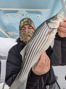 Striped bass caught while fishing in GA