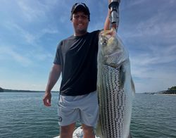 Striped bass caught fishing in GA