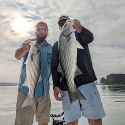 Two striped bass caught in GA