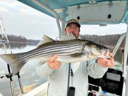 Angler with striped bass catch in GA