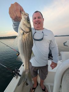 Striped bass caught while fishing in GA