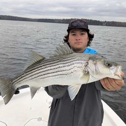 Striped bass fishing in GA