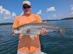 Striped bass caught in GA while fishing