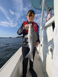Nice striped bass using light tackle and jigging techniques at Sardis Creek Park on a clear day.