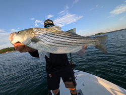 Huge Striped Bass reeled in while jigging on a clear day!