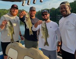 Three largemouth bass caught fishing in GA