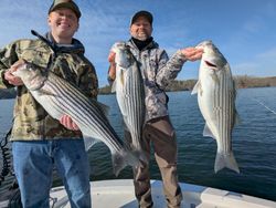 3 striped bass caught while fishing in Gainesville