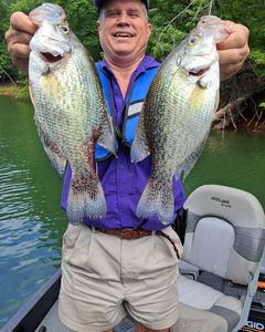 Two crappie fish caught while fishing in GA
