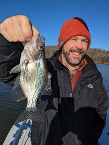 A photo of a white crappie fish caught in GA