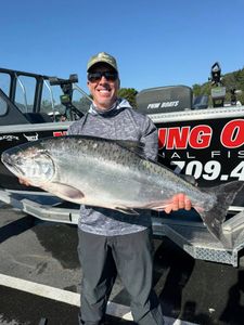 Chinook salmon caught while fishing in Gold Beach